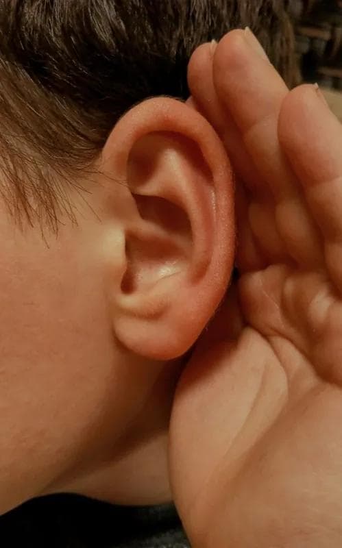 Ear Health Clinic